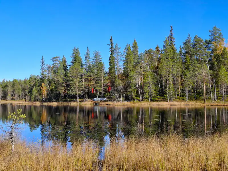 Mökki en rondins (vers 1988) + sauna, forêt 11,9 ha sur l’étang Alimmainen Hevoslampi — Suomu / Kemijärvi — 15
