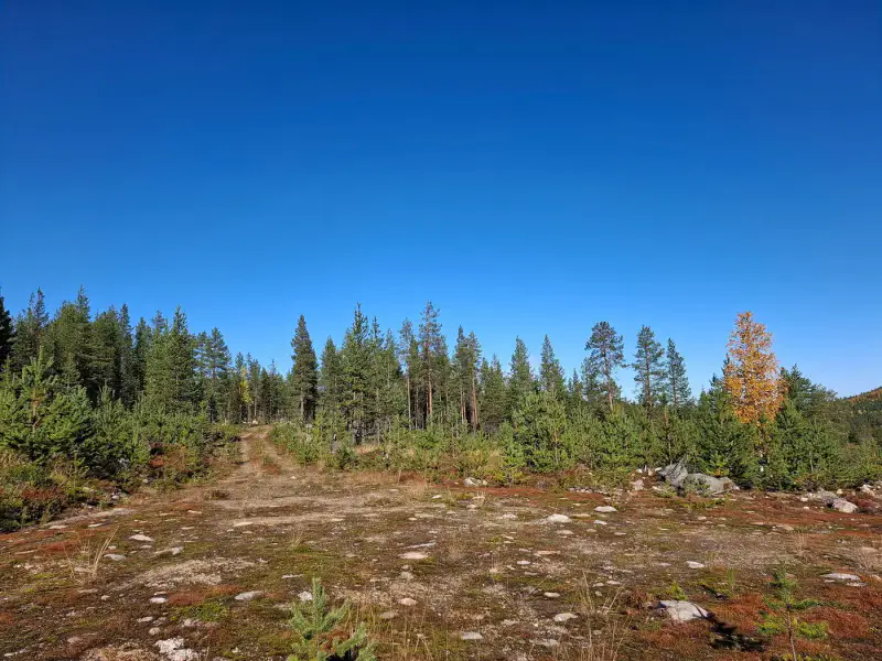 Mökki en rondins (vers 1988) + sauna, forêt 11,9 ha sur l’étang Alimmainen Hevoslampi — Suomu / Kemijärvi — 17