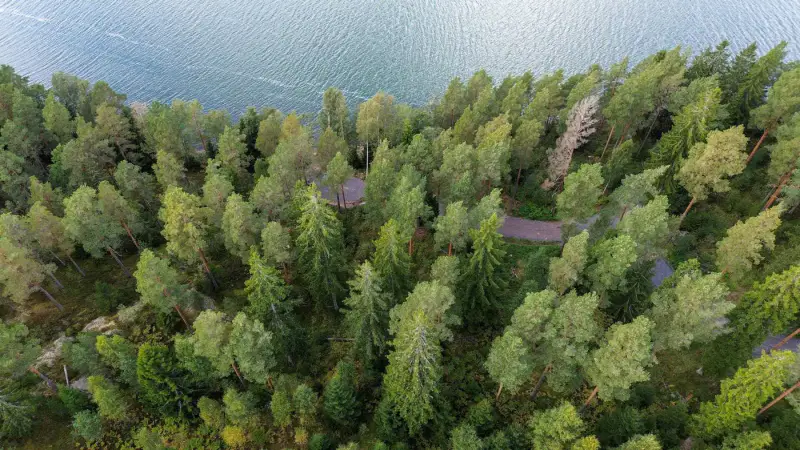 Terrain constructible 1,56 ha, ~200 m rive mer, permis — Kemiönsaari — 7