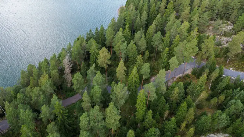 Terrain constructible 1,56 ha, ~200 m rive mer, permis — Kemiönsaari — 8