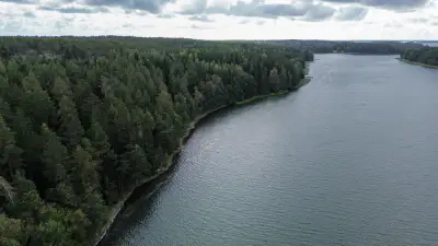 Terrain constructible 1,56 ha, ~200 m rive mer, permis — Kemiönsaari — 1