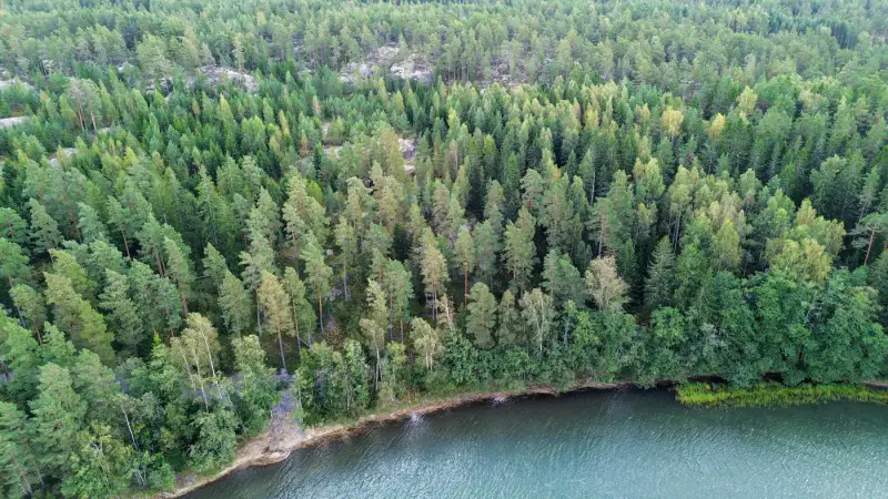 Terrain constructible 1,56 ha, ~200 m rive mer, permis — Kemiönsaari — 6