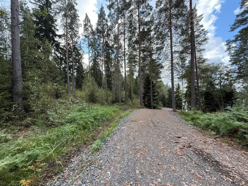 Terrain constructible 1,56 ha, ~200 m rive mer, permis — Kemiönsaari — 11