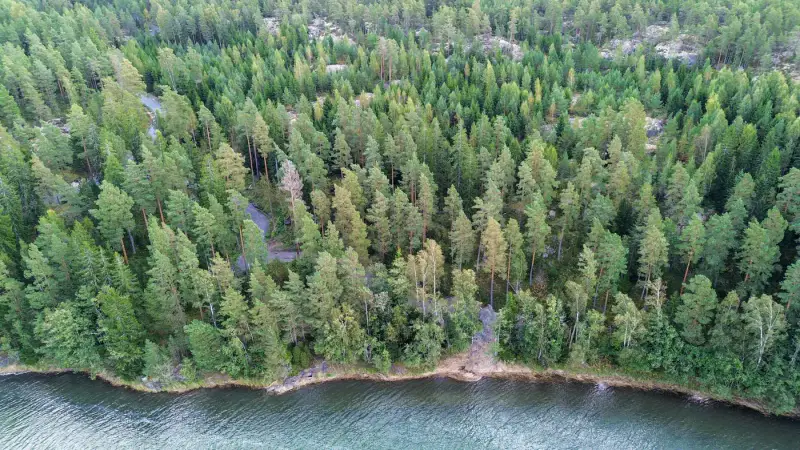 Terrain constructible 1,56 ha, ~200 m rive mer, permis — Kemiönsaari — 4