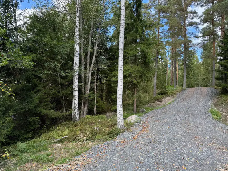 Terrain constructible 1,56 ha, ~200 m rive mer, permis — Kemiönsaari — 12