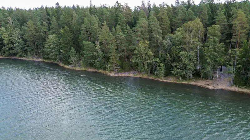Terrain constructible 1,56 ha, ~200 m rive mer, permis — Kemiönsaari — 2