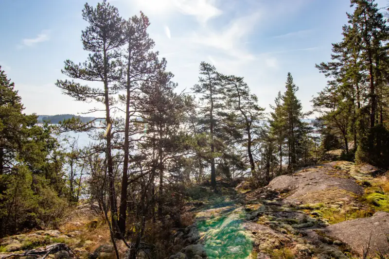 Terrain RA ~1,14 ha (~50–130 m rive), droits 200 m², mer — Utterholmen / Västanfjärd — 1