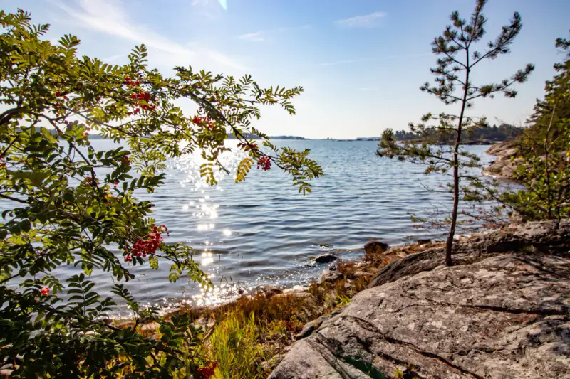 Terrain RA ~1,14 ha (~50–130 m rive), droits 200 m², mer — Utterholmen / Västanfjärd — 4