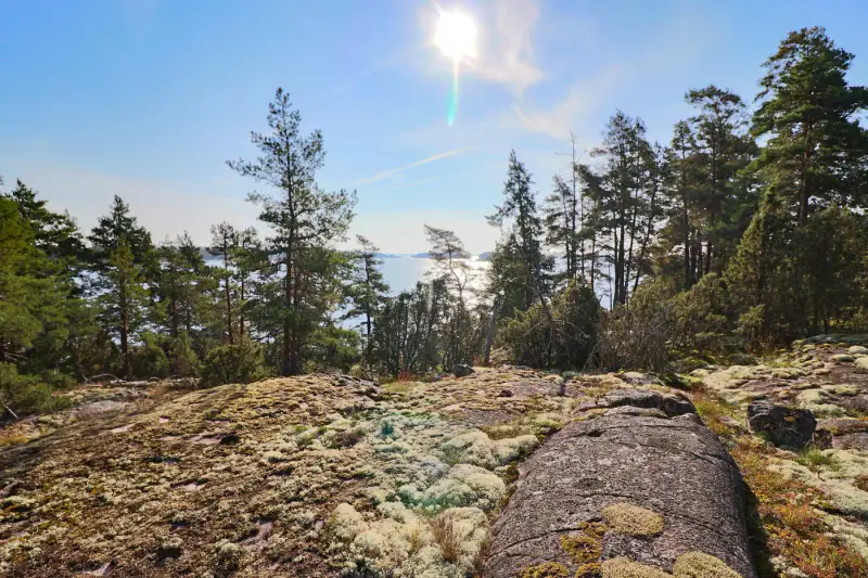 Terrain RA ~1,14 ha (~50–130 m rive), droits 200 m², mer — Utterholmen / Västanfjärd — 8