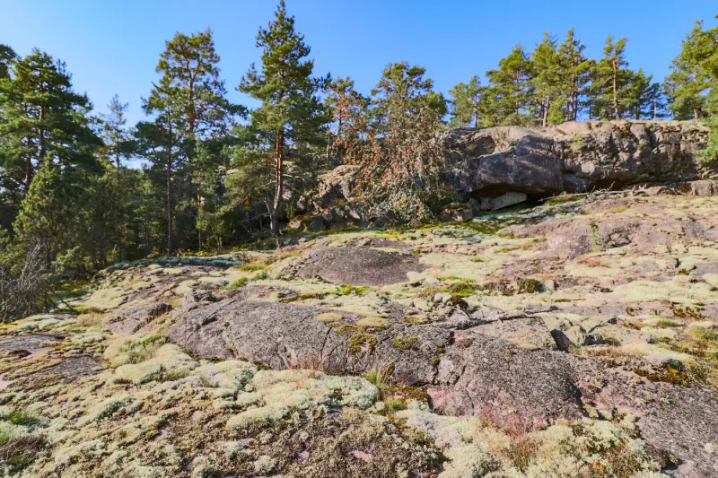 Terrain RA ~1,14 ha (~50–130 m rive), droits 200 m², mer — Utterholmen / Västanfjärd — 6