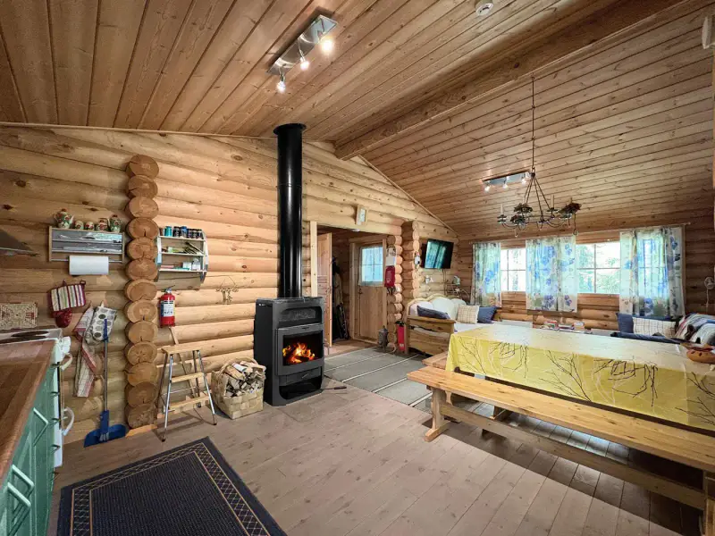 Ensemble 2007 ~57 m² + annexes, ~80 m rive Iso Kivijärvi, 5 900 m² — Keuruu — 6