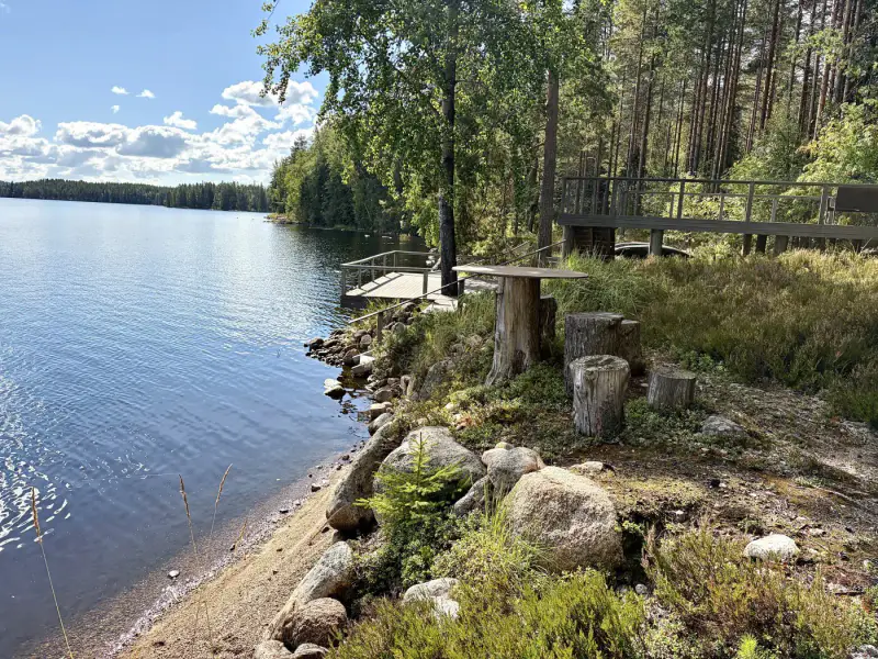Mökki ~21 m² (2008) + aitta, grande terrasse, rive Pihlajavesi, 3 950 m² — Pihlajavesi — 17