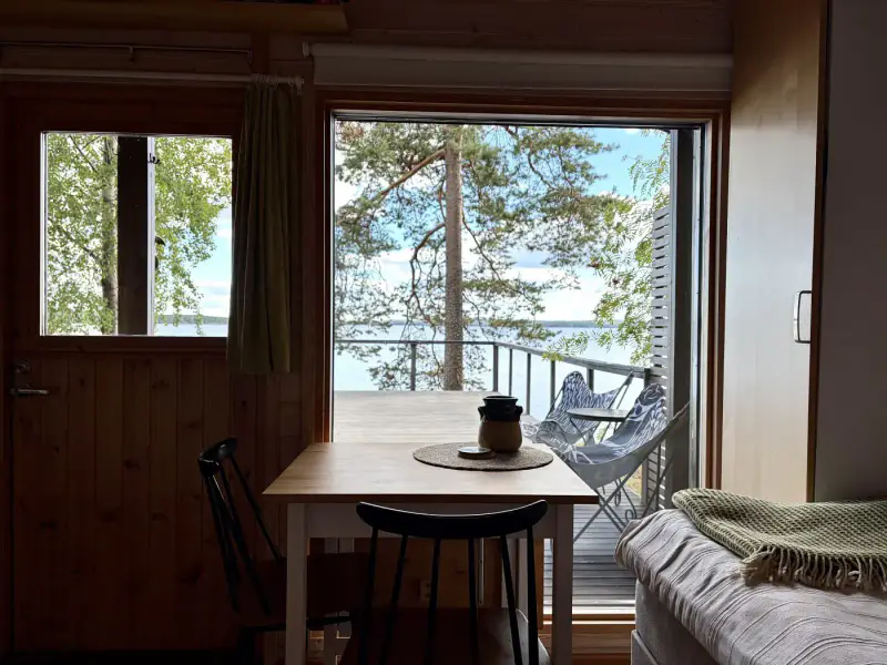 Mökki ~21 m² (2008) + aitta, grande terrasse, rive Pihlajavesi, 3 950 m² — Pihlajavesi — 11