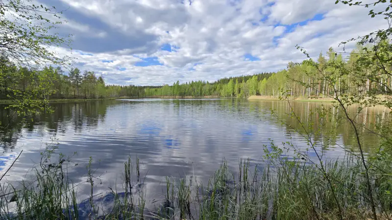 Terrain ~1,19 ha + hall 177 m², étang Suolampi ; vieux bâti à démolir — Suolahti — 7
