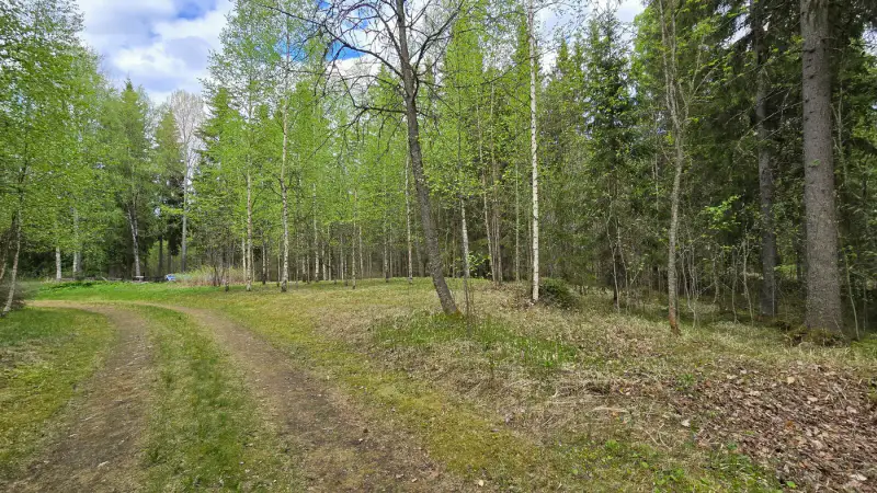 Terrain ~1,19 ha + hall 177 m², étang Suolampi ; vieux bâti à démolir — Suolahti — 3