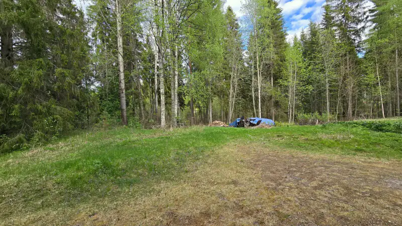 Terrain ~1,19 ha + hall 177 m², étang Suolampi ; vieux bâti à démolir — Suolahti — 4