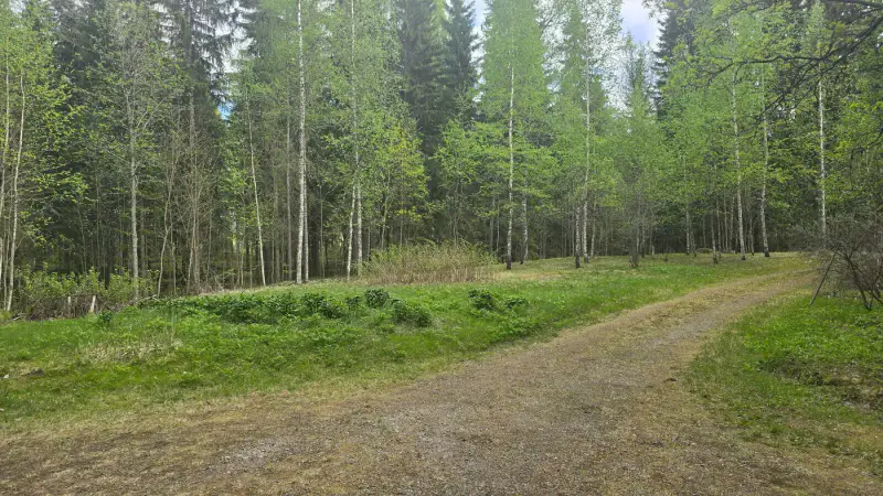 Terrain ~1,19 ha + hall 177 m², étang Suolampi ; vieux bâti à démolir — Suolahti — 2