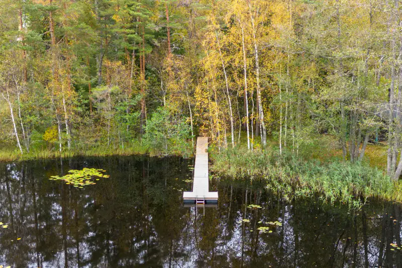 Mökki ~59 m² (1940, agrandi 2012) + sauna rive, 4 910 m², Lammi järvi — Kylmälä / Kirkkonummi — 18