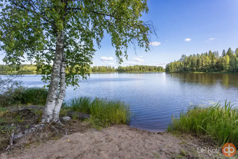 Maison en rondins + rive Tuli-Toiviainen (Kiuruvesi) — 4