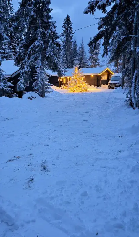 Chalet en rondins ~71,5 m² (1973, agrandi 2021) + sauna de rive et cabane d’amis, 40 m de rive mer, 2 417 m² — Ruotsalo / Kokkola — 17
