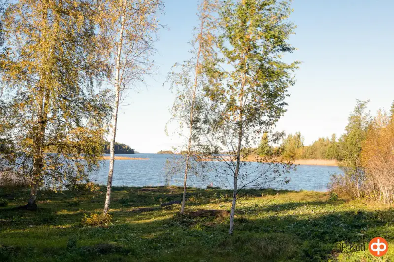 Maison à l’architecture soignée ~148 m² (1993) + sauna, 5 050 m² et ~70 m de rive de mer privée — Ruotsalo / Kokkola — 6
