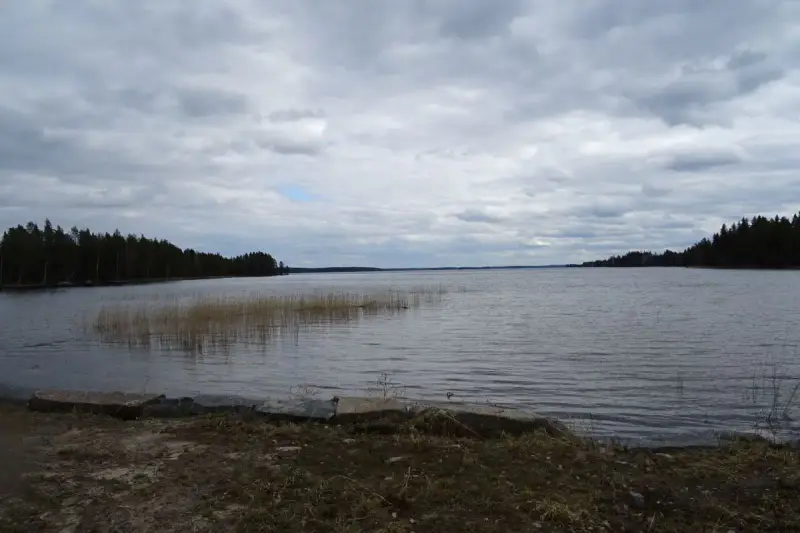 Hirsimökki ~30 m² (~2024–2025) + permis 80 m², 2 400 m² et rive sable — Konnevesi / Ahonkylä — 8