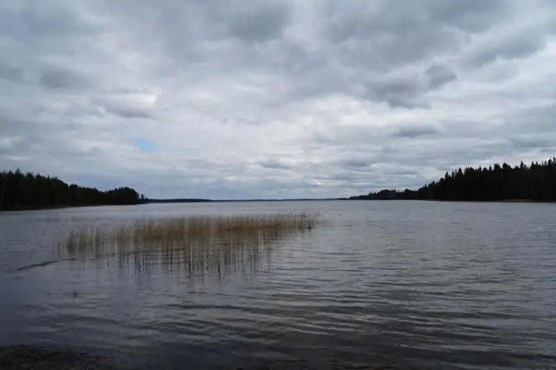 Hirsimökki ~30 m² (~2024–2025) + permis 80 m², 2 400 m² et rive sable — Konnevesi / Ahonkylä — 14