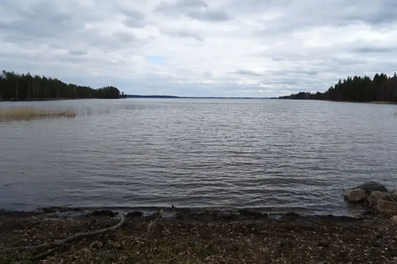Hirsimökki ~30 m² (~2024–2025) + permis 80 m², 2 400 m² et rive sable — Konnevesi / Ahonkylä — 16