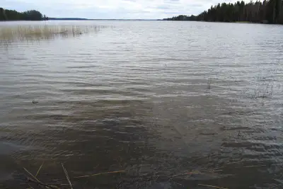 Hirsimökki ~30 m² (~2024–2025) + permis 80 m², 2 400 m² et rive sable — Konnevesi / Ahonkylä — 1