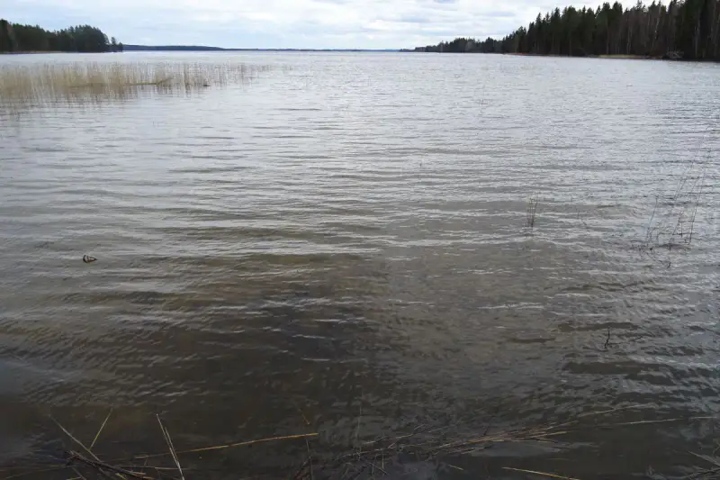 Hirsimökki ~30 m² (~2024–2025) + permis 80 m², 2 400 m² et rive sable — Konnevesi / Ahonkylä — 1