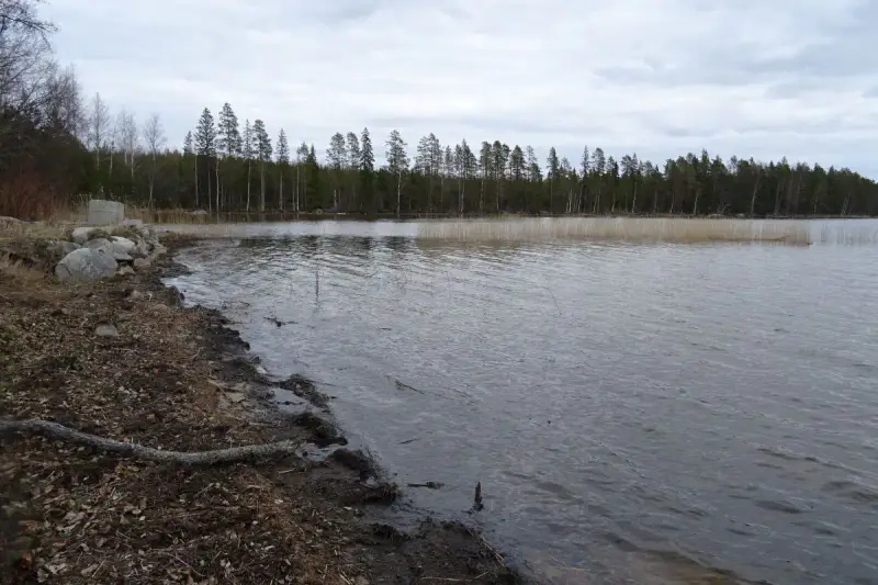 Hirsimökki ~30 m² (~2024–2025) + permis 80 m², 2 400 m² et rive sable — Konnevesi / Ahonkylä — 15