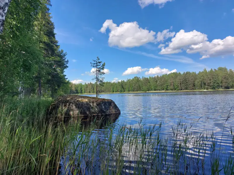Mökki électrifié ~38 m² (1991) + sauna, 5 830 m² (~50 m rive), Hosusjärvi — Voikoski / Kouvola — 17