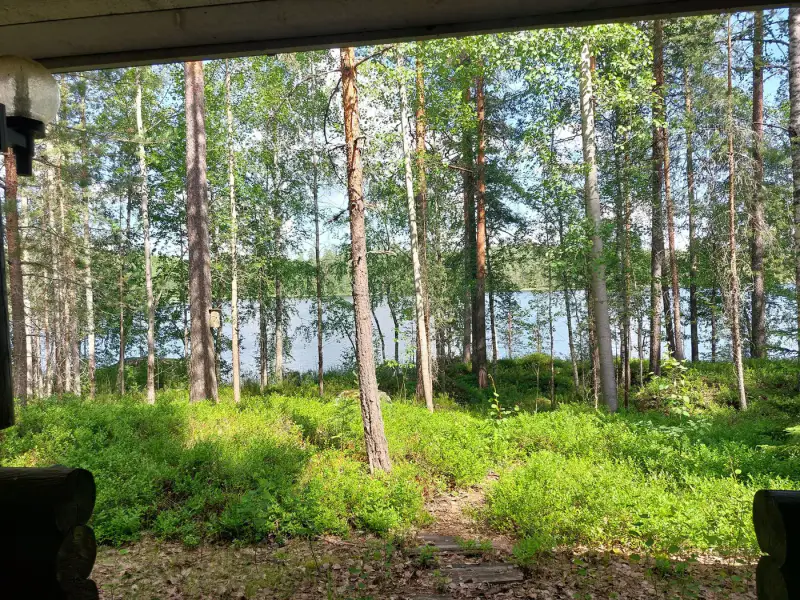 Mökki électrifié ~38 m² (1991) + sauna, 5 830 m² (~50 m rive), Hosusjärvi — Voikoski / Kouvola — 16