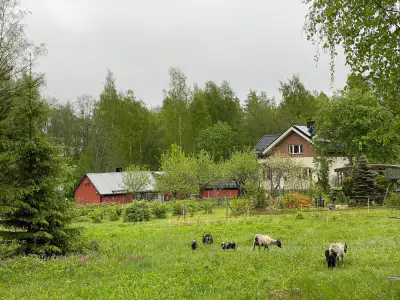 Maison 1939 ~140 m² + hall acier, ~7,5 ha rive lac — Paljakka / Kouvola — 1