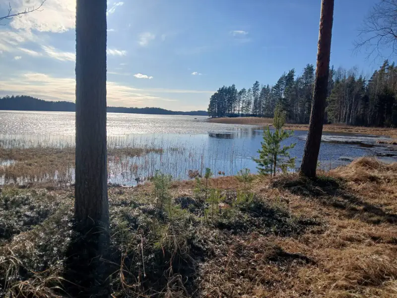 Terrain de loisir 18 620 m², ~130 m de rive sur le Suolajärvi, 150 m² constructibles (RA) — Selänpää / Kouvola — 13