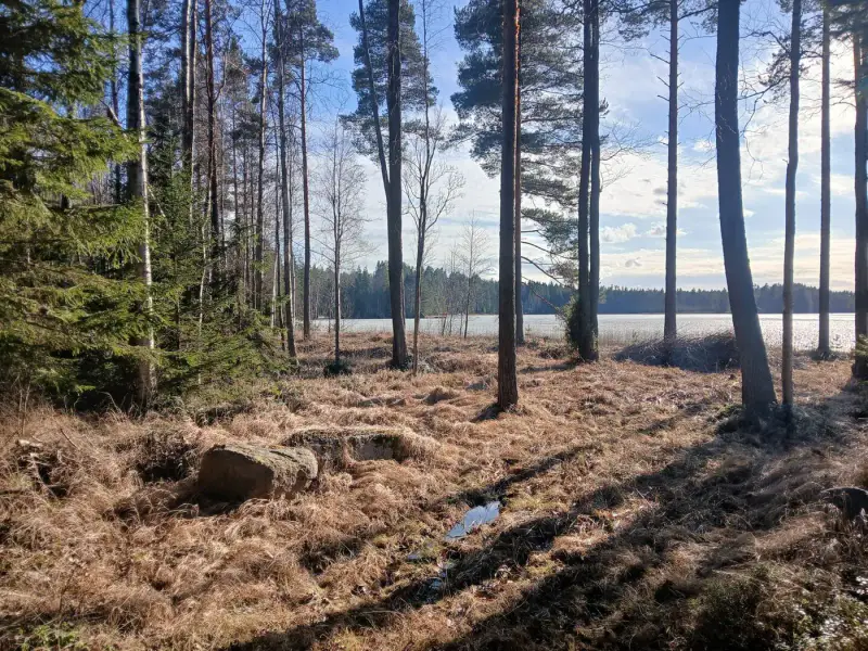 Terrain de loisir 18 620 m², ~130 m de rive sur le Suolajärvi, 150 m² constructibles (RA) — Selänpää / Kouvola — 9
