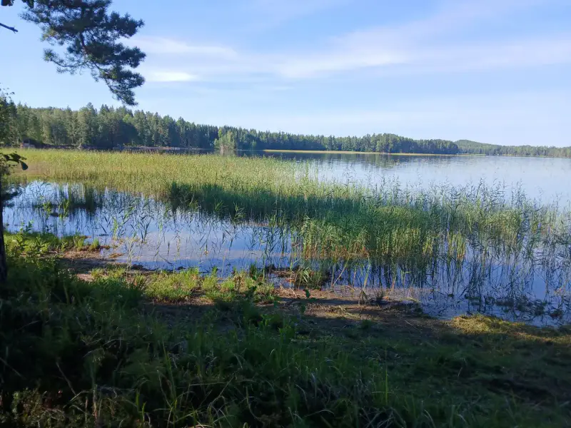 Terrain de loisir 18 620 m², ~130 m de rive sur le Suolajärvi, 150 m² constructibles (RA) — Selänpää / Kouvola — 4