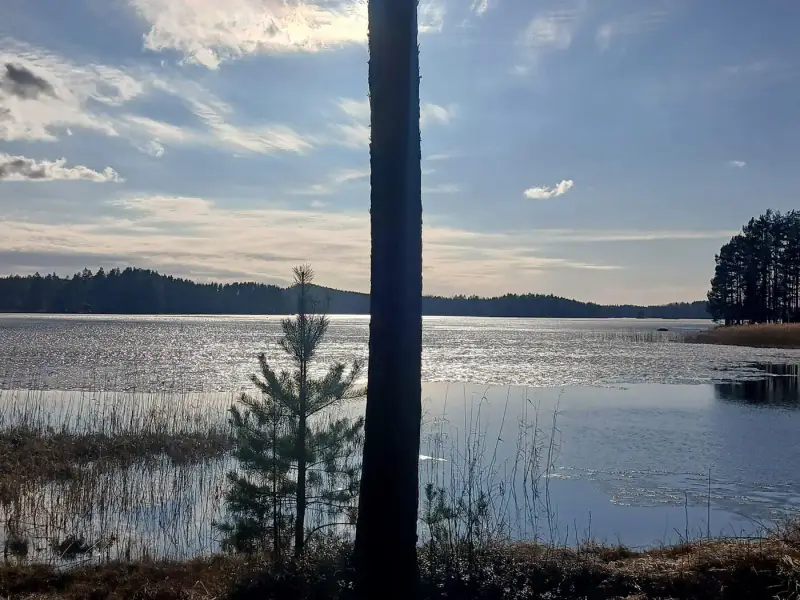 Terrain de loisir 18 620 m², ~130 m de rive sur le Suolajärvi, 150 m² constructibles (RA) — Selänpää / Kouvola — 3