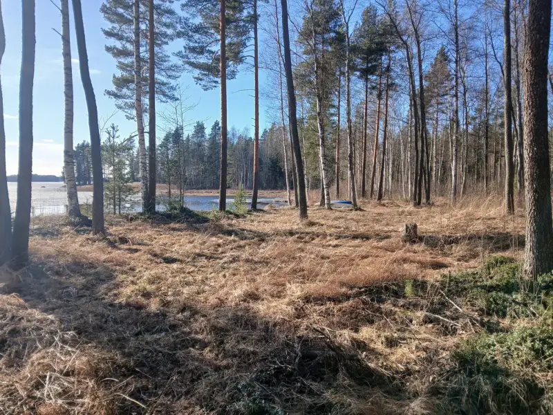 Terrain de loisir 18 620 m², ~130 m de rive sur le Suolajärvi, 150 m² constructibles (RA) — Selänpää / Kouvola — 11