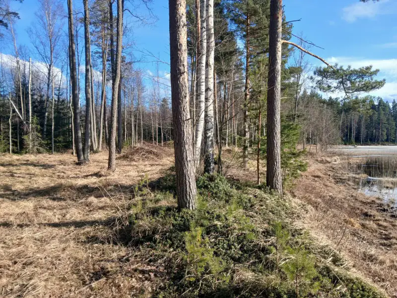 Terrain de loisir 18 620 m², ~130 m de rive sur le Suolajärvi, 150 m² constructibles (RA) — Selänpää / Kouvola — 16