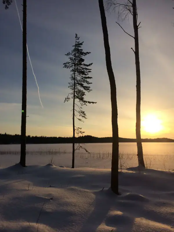 Terrain de loisir 18 620 m², ~130 m de rive sur le Suolajärvi, 150 m² constructibles (RA) — Selänpää / Kouvola — 1