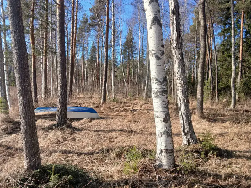 Terrain de loisir 18 620 m², ~130 m de rive sur le Suolajärvi, 150 m² constructibles (RA) — Selänpää / Kouvola — 15