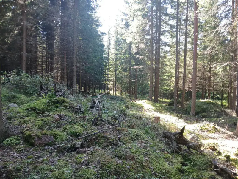 Terrain de loisir 18 620 m², ~130 m de rive sur le Suolajärvi, 150 m² constructibles (RA) — Selänpää / Kouvola — 6