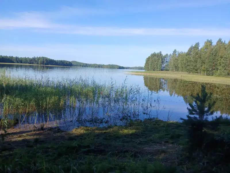 Terrain de loisir 18 620 m², ~130 m de rive sur le Suolajärvi, 150 m² constructibles (RA) — Selänpää / Kouvola — 5