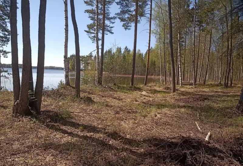 Terrain de loisir 18 620 m², ~130 m de rive sur le Suolajärvi, 150 m² constructibles (RA) — Selänpää / Kouvola — 8