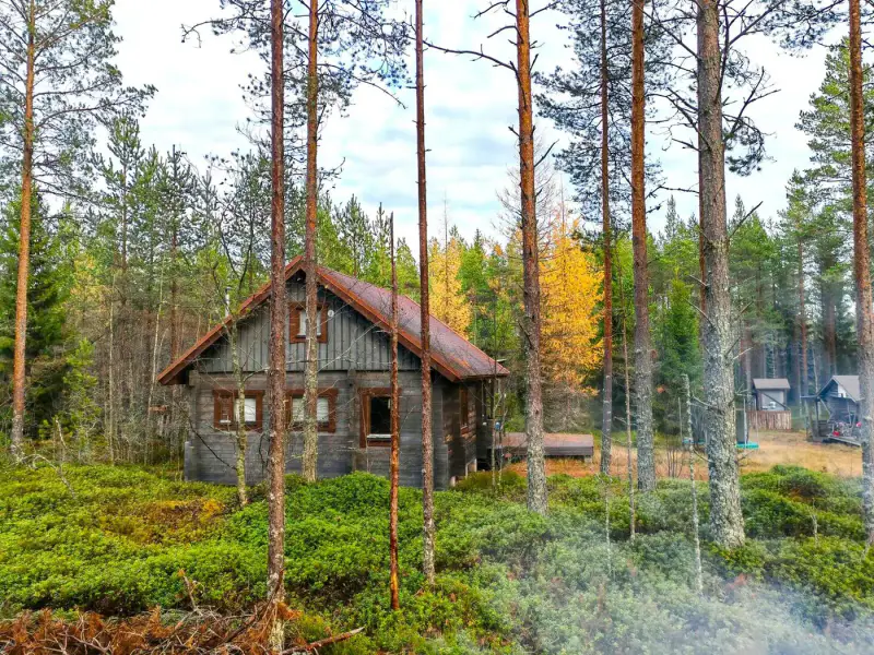 Propriété forestière de 9 ha avec 400 m de rive privée sur l’Ullavanjoki, île privée, chalet en rondins et sauna — Köyris, Kruunupyy — 2
