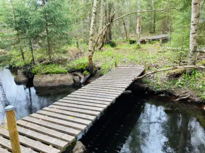 Propriété forestière de 9 ha avec 400 m de rive privée sur l’Ullavanjoki, île privée, chalet en rondins et sauna — Köyris, Kruunupyy — 1