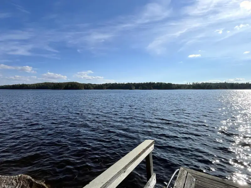 Hirsimökki ~78 m² (2007) + rantasauna, 5 510 m² et rive sud Päijänne — Pihlajakoski / Kuhmoinen — 6