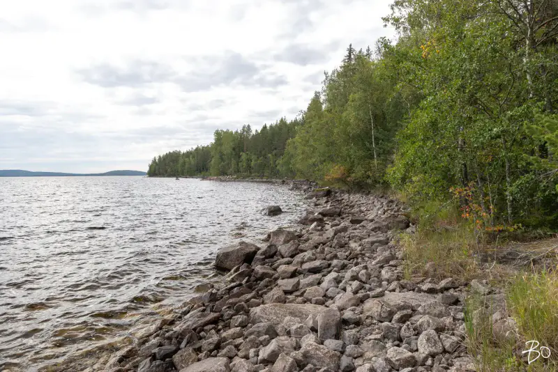 Terrain loisirs ~1,2 ha, ~170 m rive Päijänne (Judinsalonselkä) — Pyhänpää / Kuhmoinen — 16