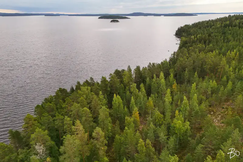 Terrain loisirs ~1,2 ha, ~170 m rive Päijänne (Judinsalonselkä) — Pyhänpää / Kuhmoinen — 3